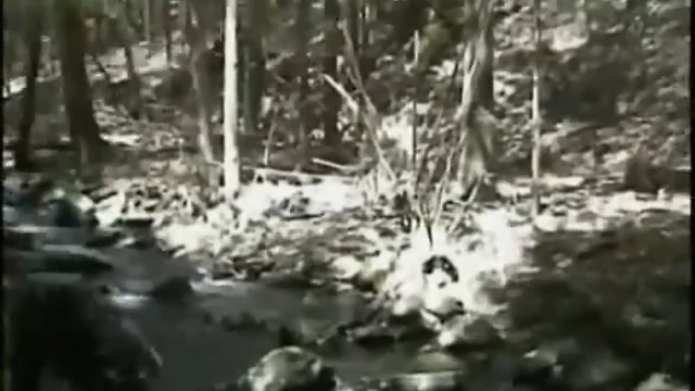 Soldier strokes dick in forest