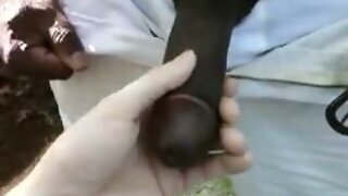 wonderful darky dick getting blown in the park