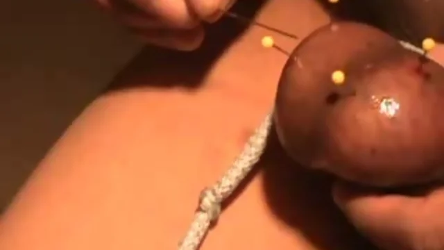Testicles skewered and drained with pins