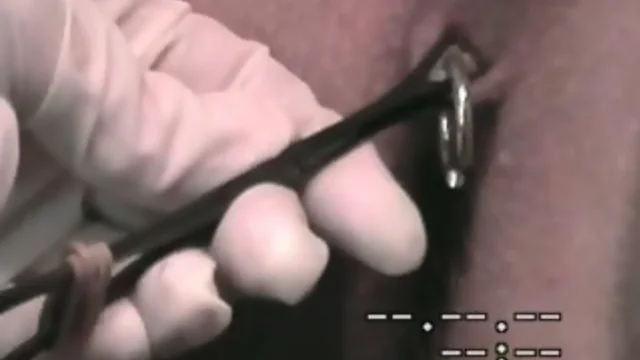 Domina`s Hard Cock Piercing: The Ultimate Lockdown!