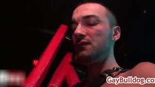 Leather daddy wants a blowjob