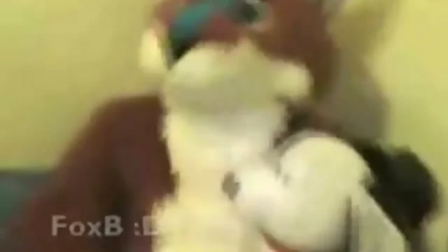 Pawing and Wixxen in a Furry Fox Suit Fursuit - Porno Fun!
