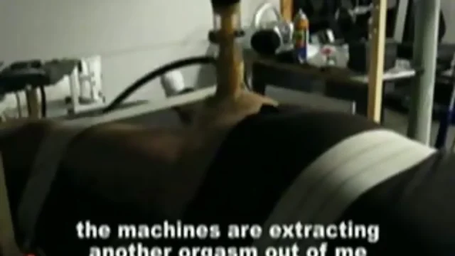 Venus milking machine 2