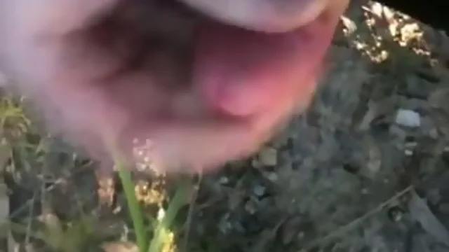 Fucking Off off and blowing up outdoors