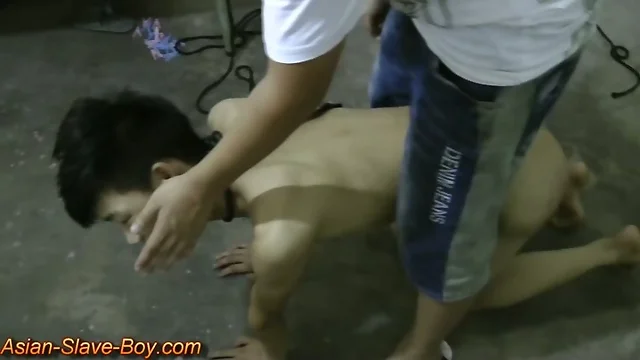 Slim Asian Boy Slave Doggy Trainning