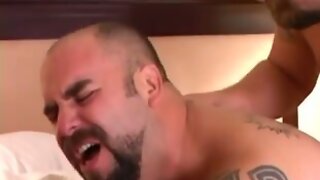 Hairy Bears Unleashed: A Steamy Session of Raw Sex