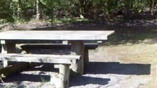 Pandora`s Cafe jerk and Picnic Table outdoors Fuck