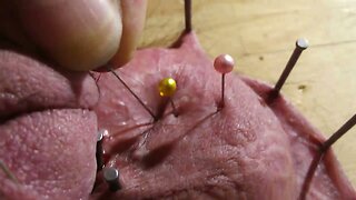 Feel the Pain: Piercing Testicles with Aiguilles