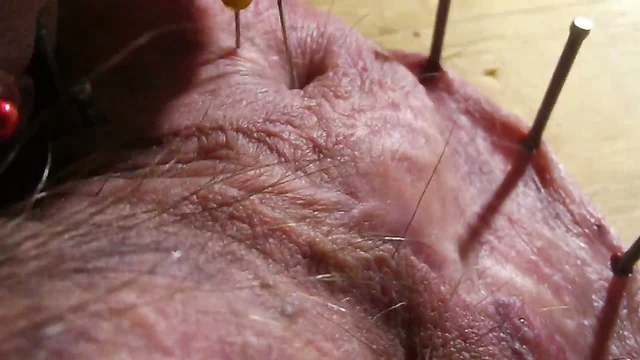 Feel the Pain: Piercing Testicles with Aiguilles