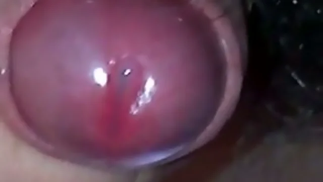 haired not cut aged pecker precum and hot seed