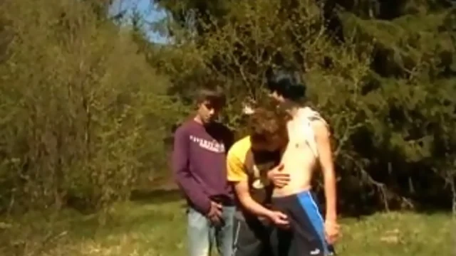 Sunny Day Delight: Outdoor Sex with Two Hot Guys