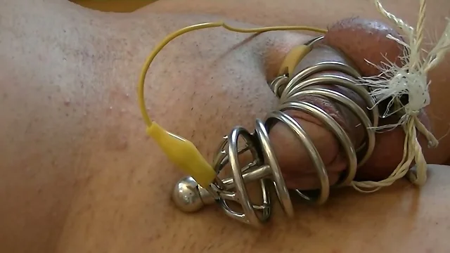 electro estim: cock-in-metall-cage auto-dilated very short