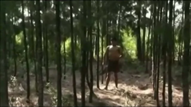 Cute asian boy alone in the forest