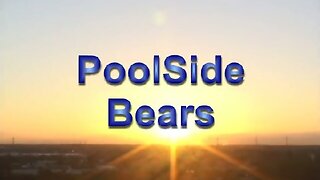Two Hot Bears Poolside: Exploring Desires and Embracing Passion