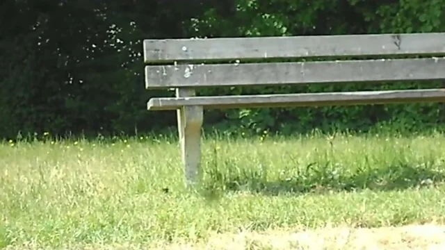 Unfinished but Needed: Showing the Bench Video