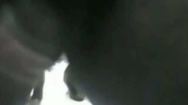 (C2C) Thick Ebony Bear Toying Butt Before Spewing Chubby Spunk