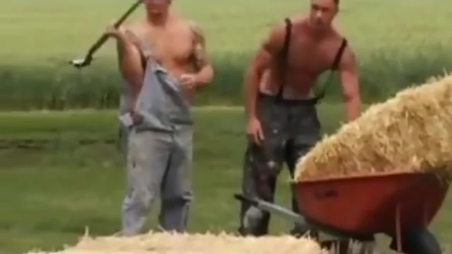 Farmers Fuck in Field