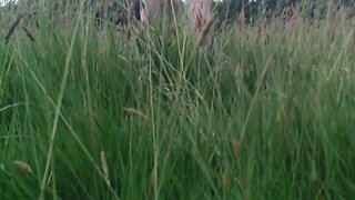 A Summer Walk & Strip Through the Woods: Naked & Masturbating in a Field