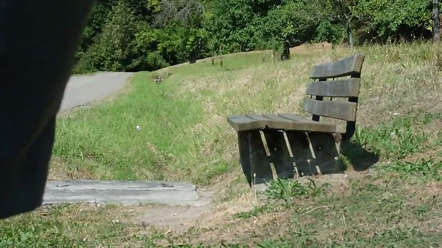 Dildofucking on a park bench near road
