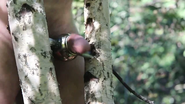 Good masturbation in forest 3