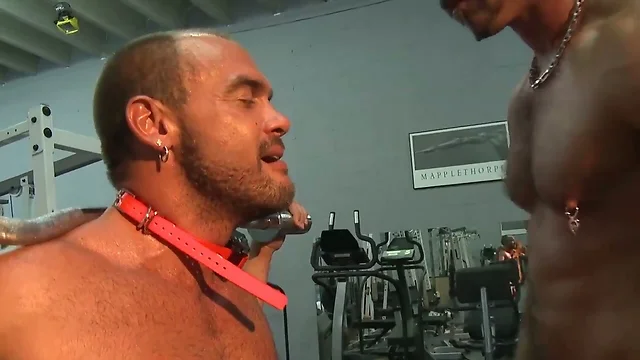 Muscular Hunks Training: Steamy Kisses & Hard Fucking!