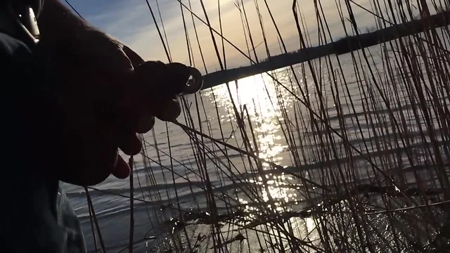Wichsen am See