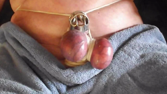 slave has his balls flogged as commanded by Mistress
