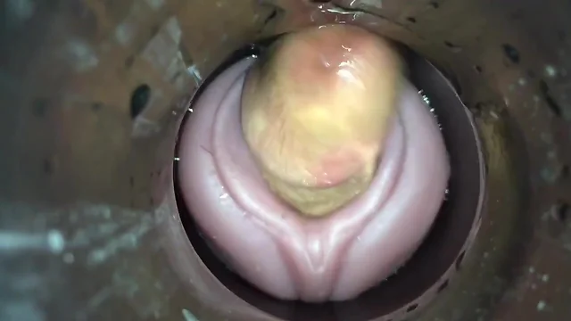 sticky ovulation by cum cam man