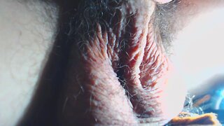 Hairy balls close-up orgasm