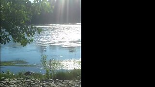 river bate - sega al fiume