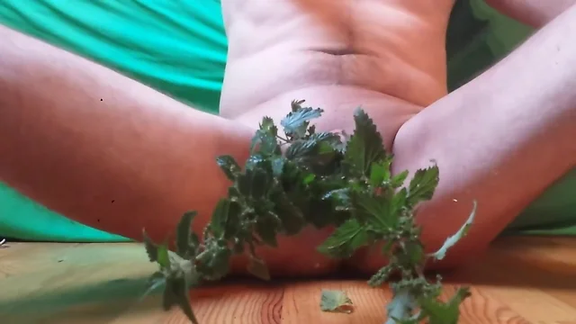 CBT dick tortured with nettles
