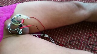 Electro Milked by my Wife. PW by request