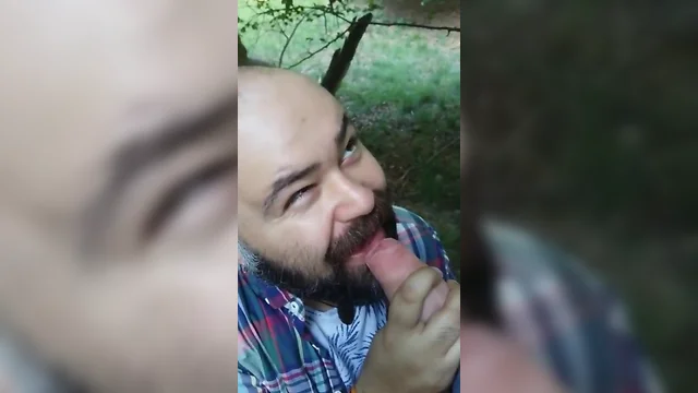 Bearded bear suicking pecker in the woods