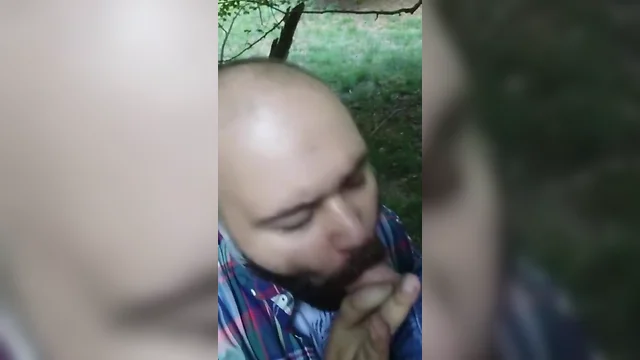 Bearded bear suicking pecker in the woods