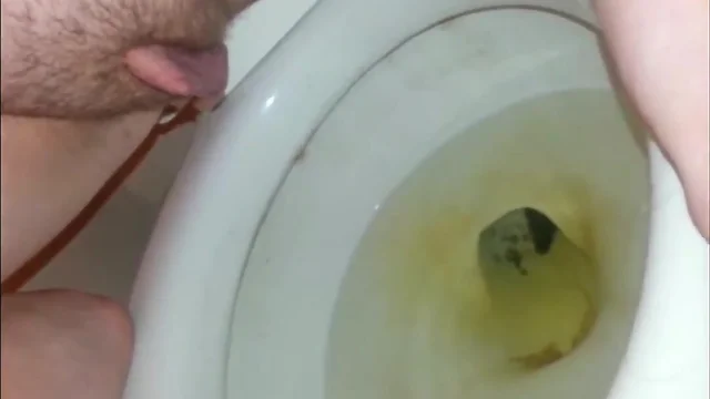 Pee Piss Urine Urination Collection