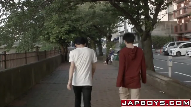Nice and sexy Japanese ardently butt fuck each other