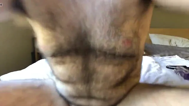 haired chest grandpa's virgin butt hole...absence of the wife