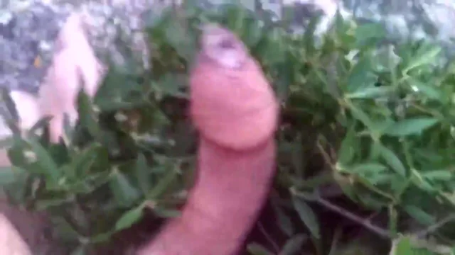 My foreskin dick outdoors