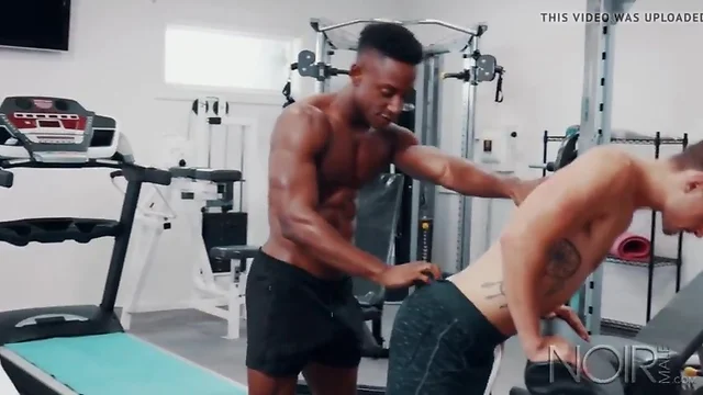 Noir male alone 2gether in gym? eat & fuck that hot butt