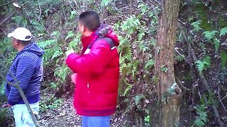 Asian bear daddies getting it on in the woods