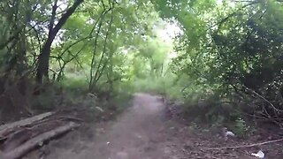 Outdoor Handjob: Hot Amateur Cruising in the Woods with a Big Cock