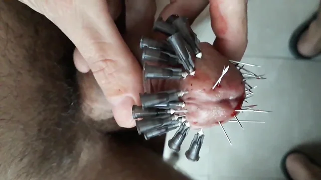 Another crown of needles