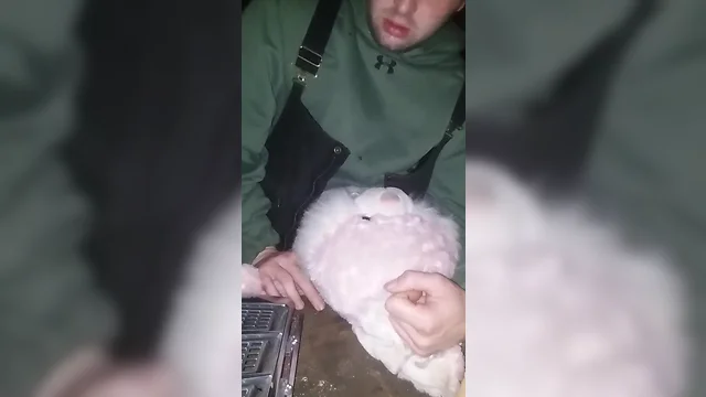 Me shagging my bunny in my friends shed