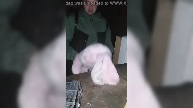 Me shagging my bunny in my friends shed