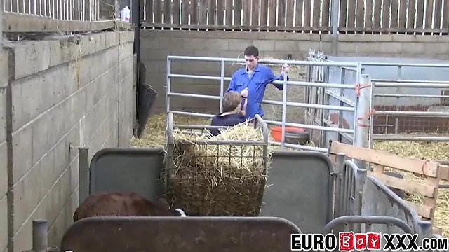 Homesteading boy making anal love with european homosexual