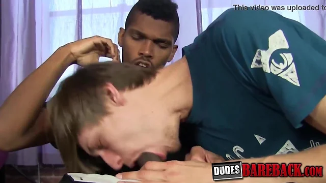 Gay teenage moans during hard interracial bareback sex session