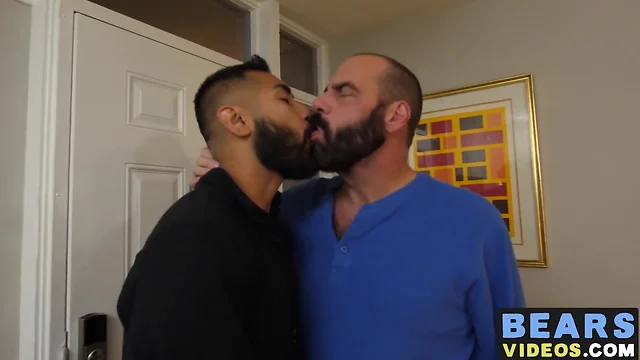 Haired bear and his bottom cub loves has wild bum fuck fest
