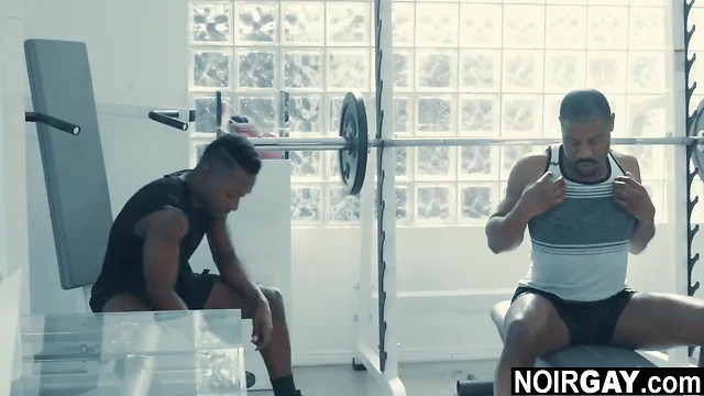 Two coalblack gays fuck white guy in the gym  gay trio sex