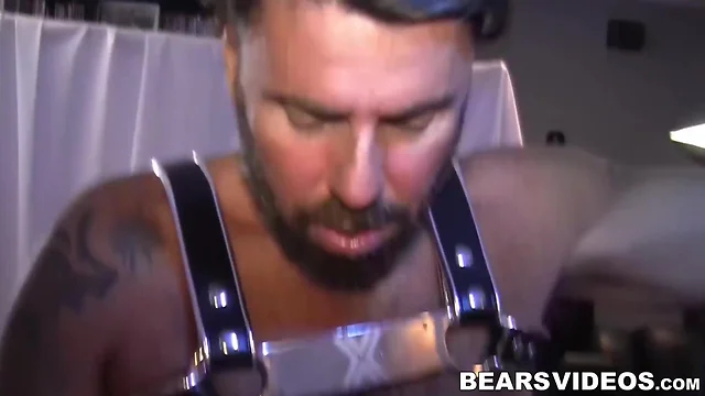 Tattooed bear tied up and mercilessly drilled on a sex swing