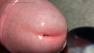 Hot Amateur Big Cock Cumming Close Up: Multiple Loads Swallowed!